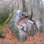 Lopez Ordesa Casa di campagna *