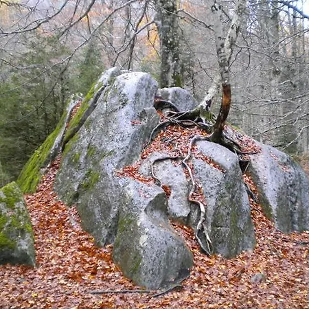 Lopez Ordesa 乡村民宿 *