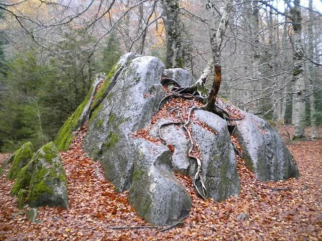 López Ordesa Casa de Campo *